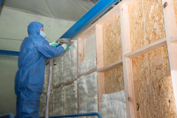 Best Insulation Inspection Services  in Krebs, OK